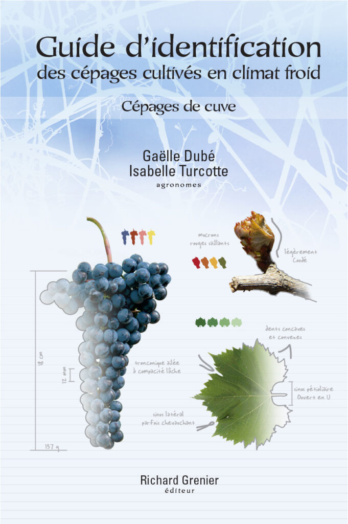 Guide de raisins de cuve